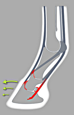 ACR Wedge Balance Shoe