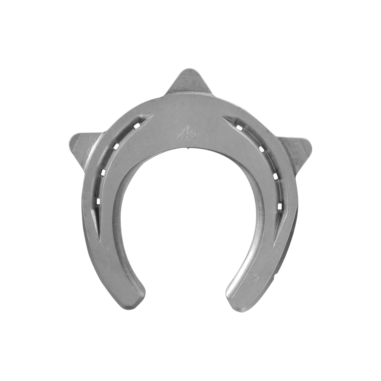 ACR 110 Suspensory Shoe