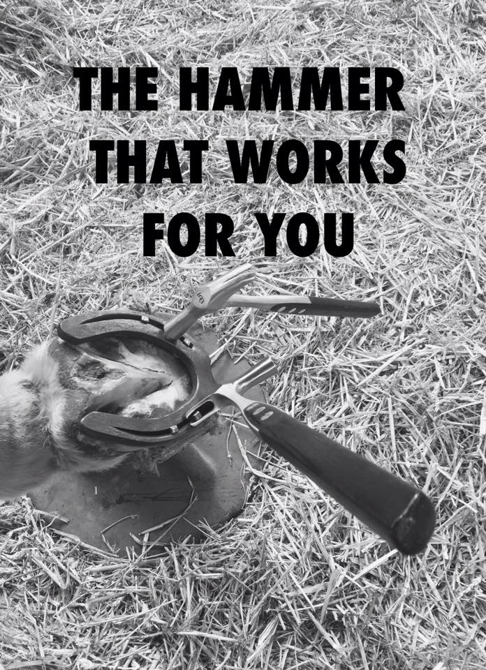 LGB Nailing on Hammer