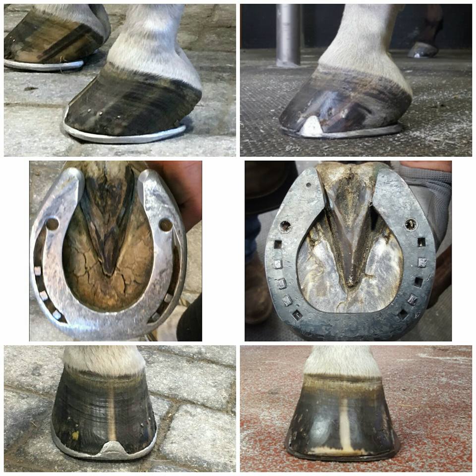 Visani Onion Heel Front
