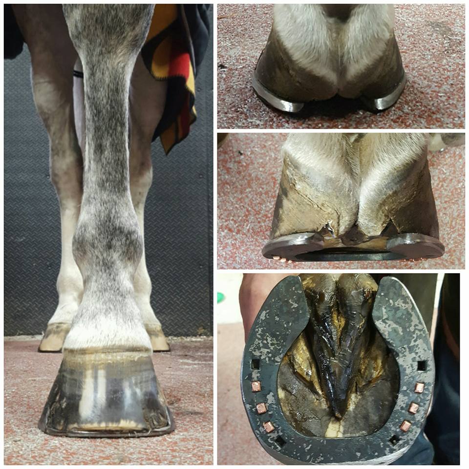 Visani Onion Heel Front