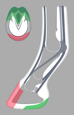 ACR 880 Heart Bar Open Toe