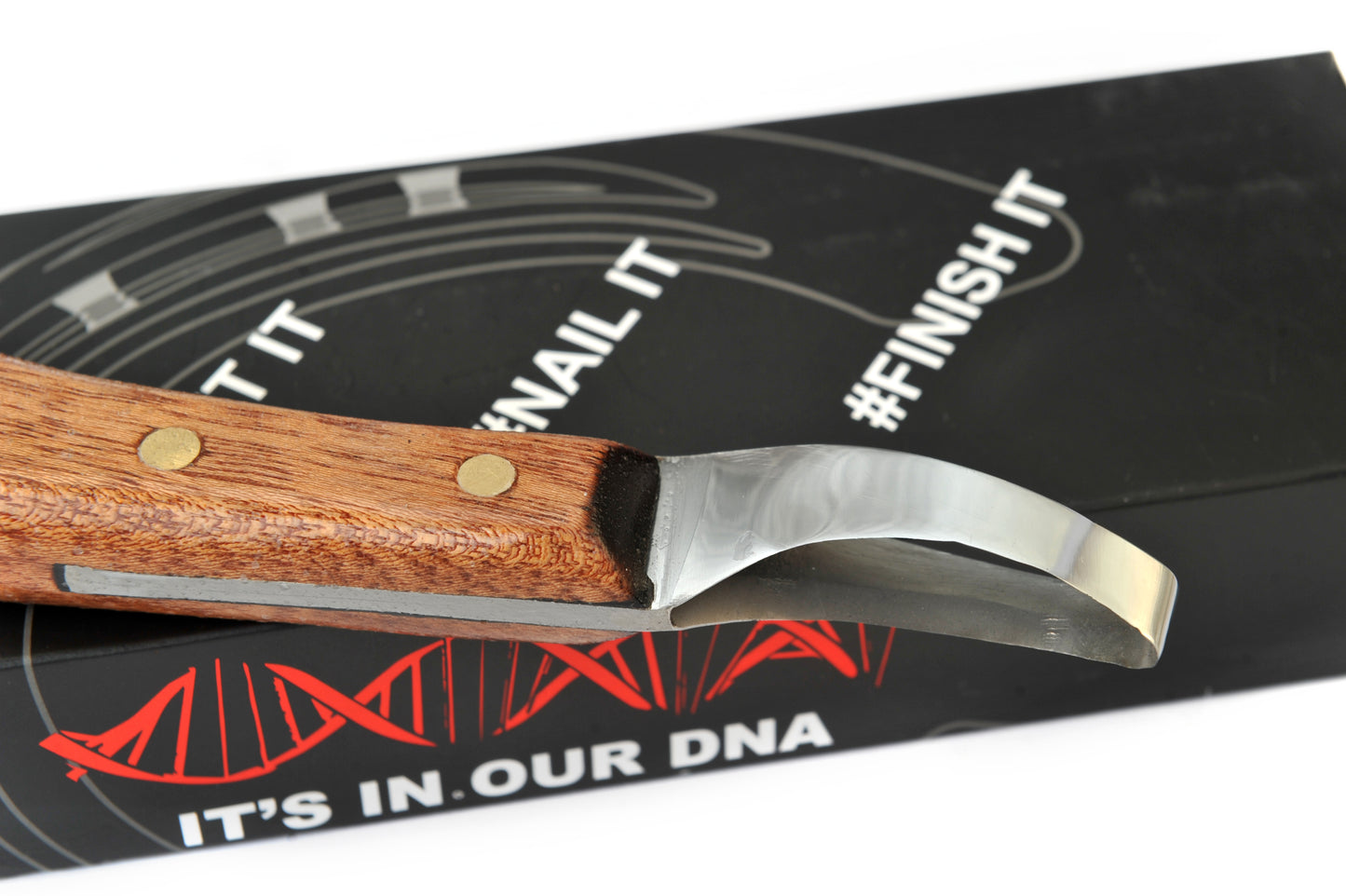 Shoeing Lab Loop Knife