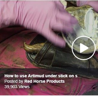 Artimud