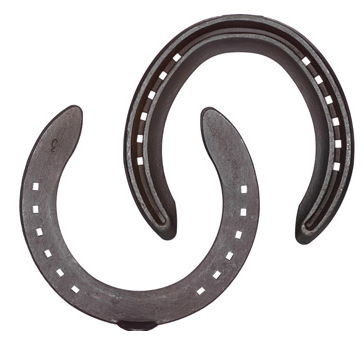 Trojan Trainer Plates riding shoes
