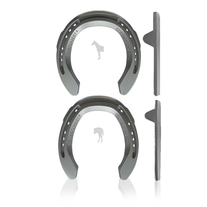 Aluminium Century Support