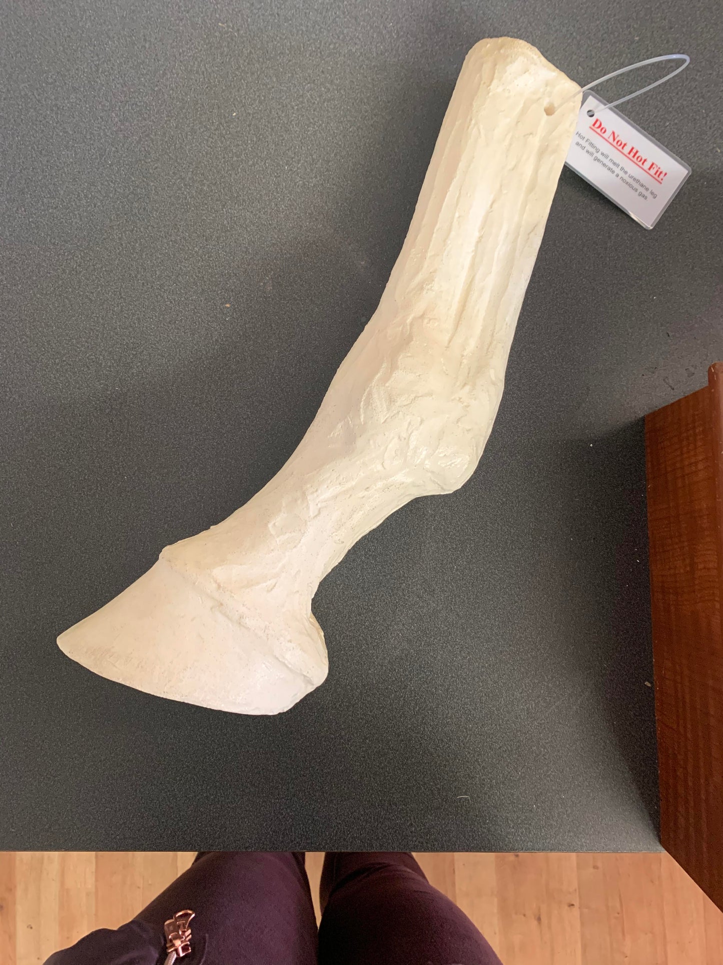 Hot Fit Hoof/Leg