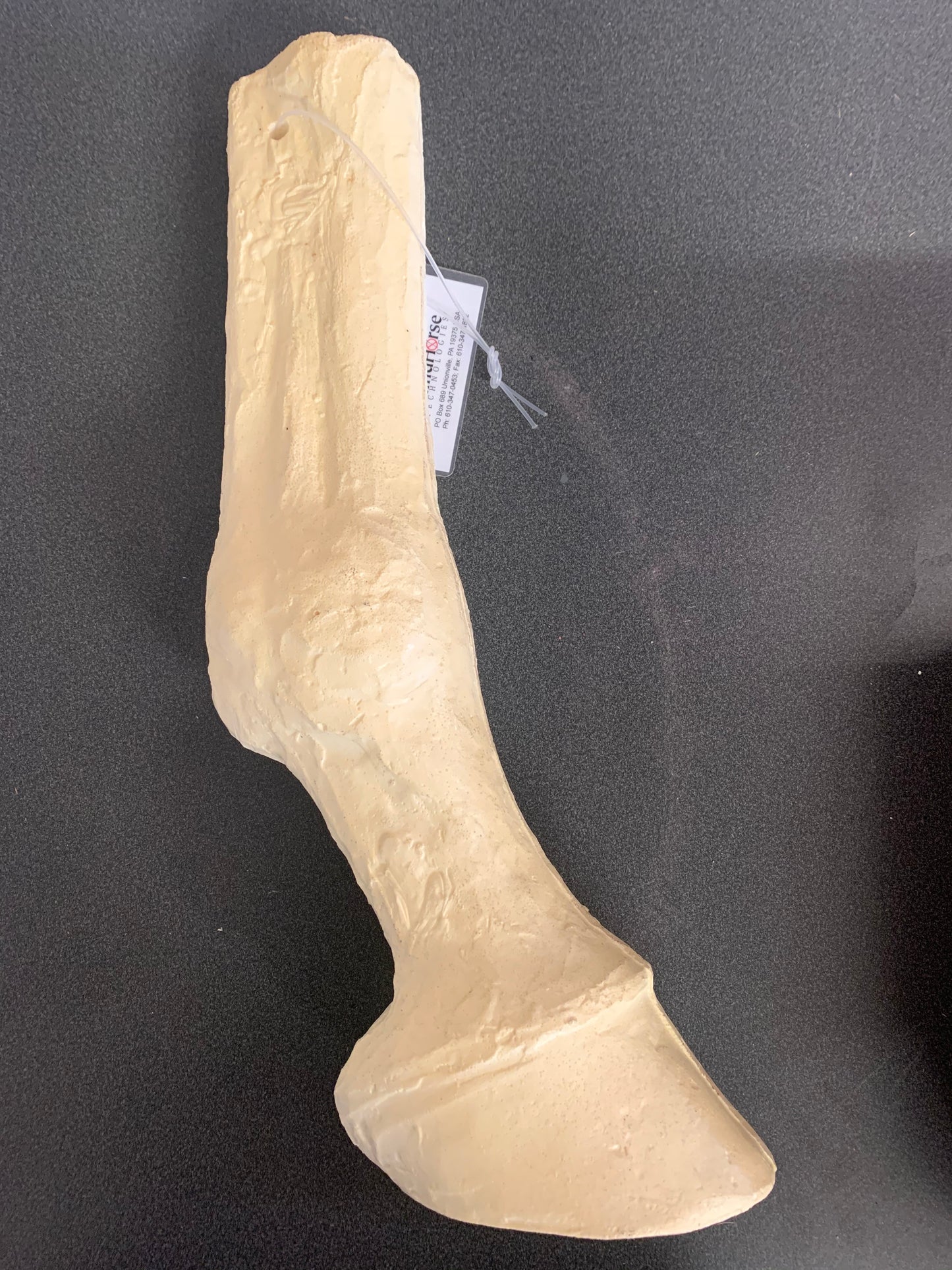 Hot Fit Hoof/Leg
