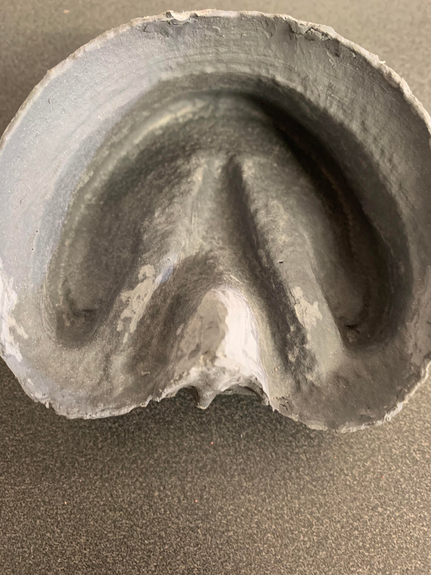 Hoof Capsule
