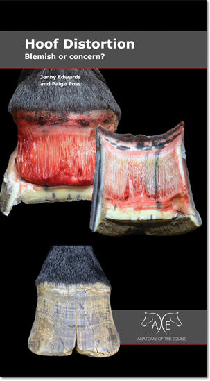 Paige Poss Hoof Distortions