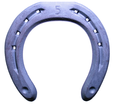 FIFPE FX Front sideclips