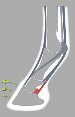 The open toe enhences breakover and limits pressure on the deep digital flexor tendon. 