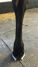 Load image into Gallery viewer, THE SHOEING LAB ELLIPTICAL SHOE FRONT GRADUATED