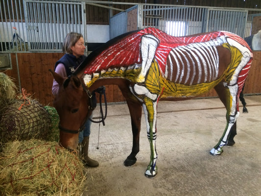 The Shoeing Lab Open Day