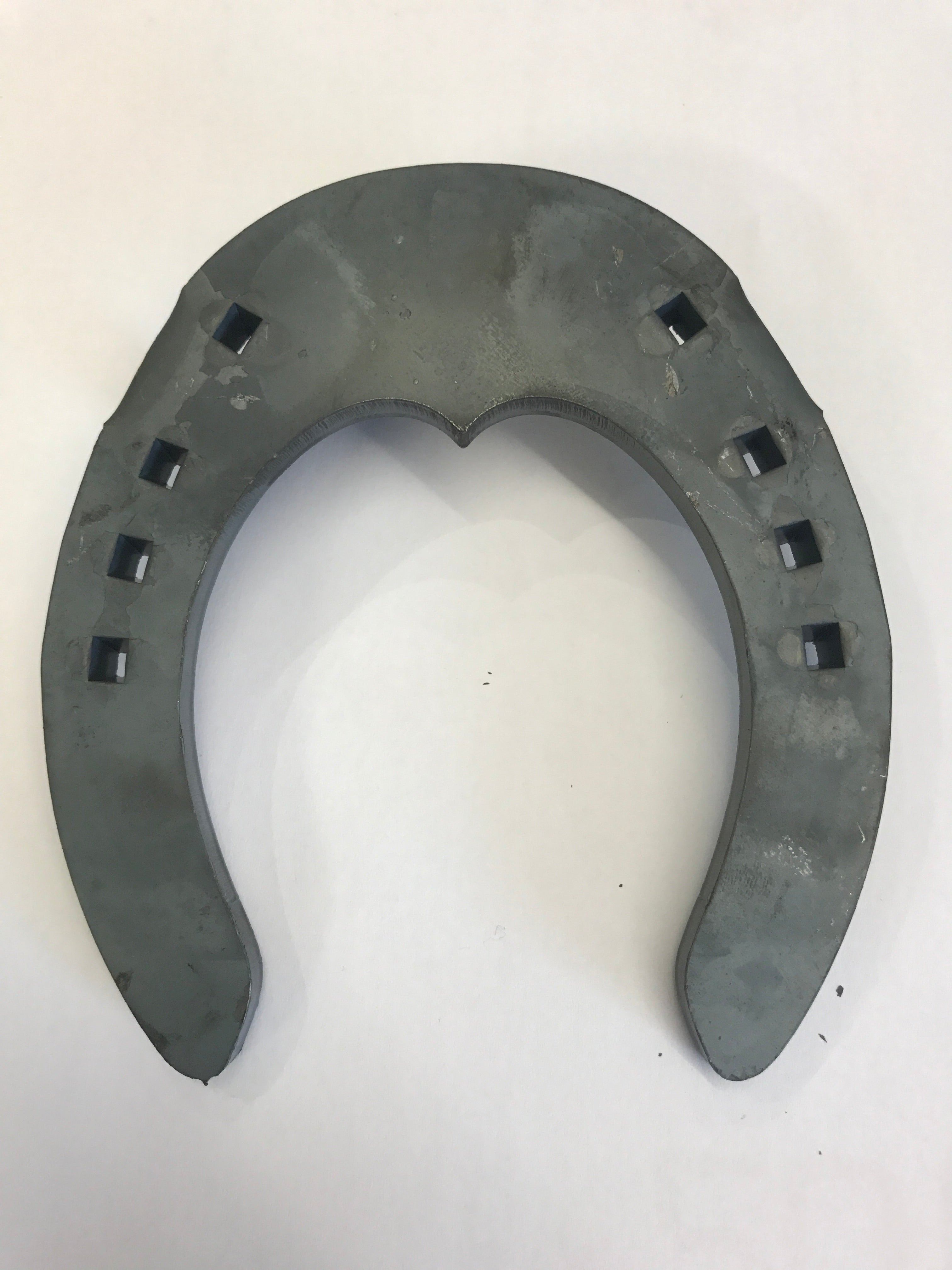 Visani Broad toe suspensory hind shoe The Shoeing Lab