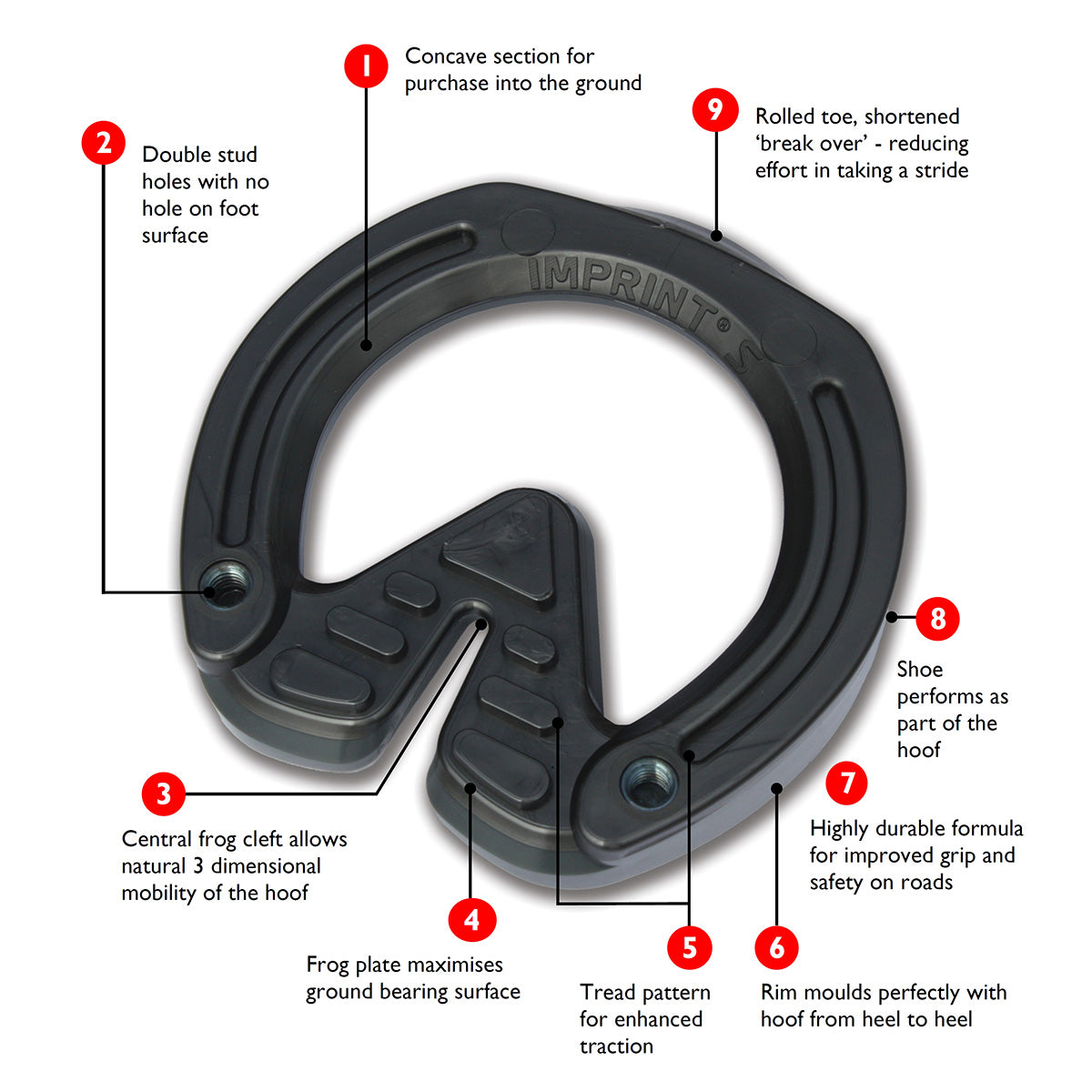 Imprint Sport Horseshoes With Stud Holes