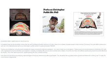 Load image into Gallery viewer, Polyurethane replica; Normal Adult Horse&#39;s Foot, Frontal Section