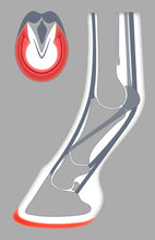 Load image into Gallery viewer, The ACR 1-clip covers and protects a large area of the sole and bars
