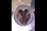Load image into Gallery viewer, ACR 680 Reverse Shoe
